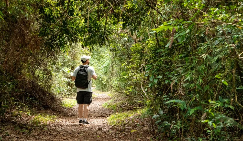 Ecoturismo em Prado Bahia – trilha sustentável no Monte Pascoal com Mata Atlântica e vista para o mar, destino ideal para turismo responsável e apartamentos no Recanto de Férias